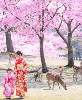 Japan